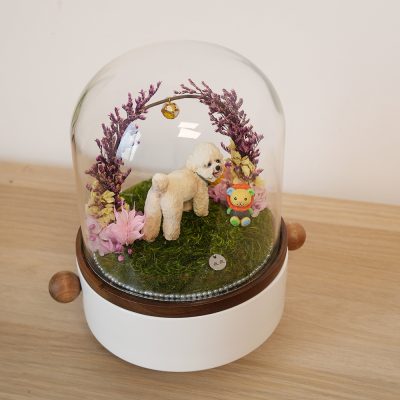 Custom Pet Memorial Glass Dome Collection
